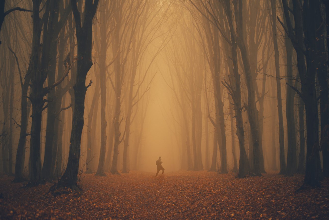 Man Lost in a Spooky Forest